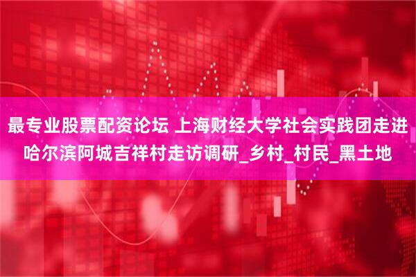 最专业股票配资论坛 上海财经大学社会实践团走进哈尔滨阿城吉祥村走访调研_乡村_村民_黑土地