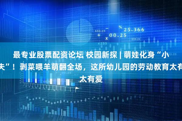 最专业股票配资论坛 校园新探 | 萌娃化身“小农夫”！剥菜喂羊萌翻全场，这所幼儿园的劳动教育太有爱